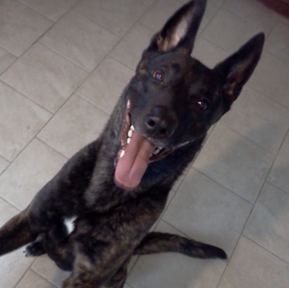 Meet your Posher - Picture 6 of 7